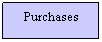Text Box: Purchases
