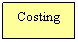Text Box: Costing
