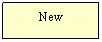 Text Box: New
