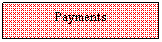 Text Box: Payments
