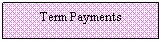 Text Box: Term Payments
