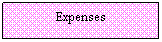 Text Box: Expenses
