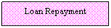 Text Box: Loan Repayment
